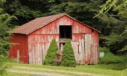 Featured image of post Using Cabin with the IBM Bluemix Container Service