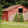 Using Cabin with the IBM Bluemix Container Service